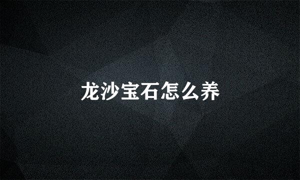 龙沙宝石怎么养