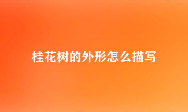 桂花树的外形怎么描写