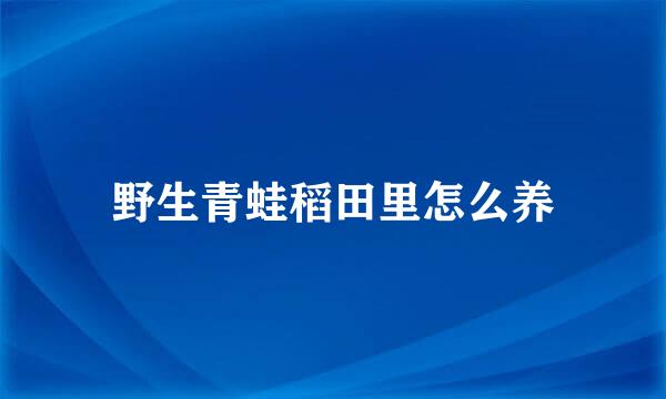 野生青蛙稻田里怎么养