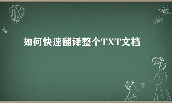 如何快速翻译整个TXT文档