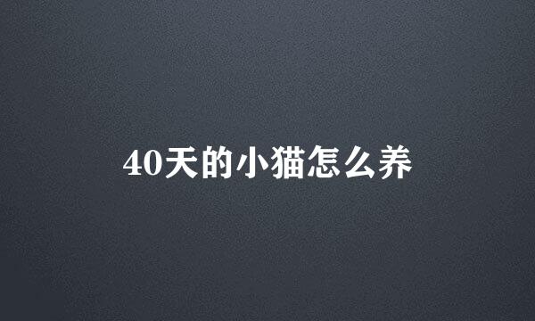 40天的小猫怎么养