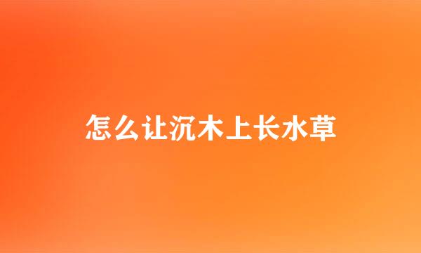 怎么让沉木上长水草