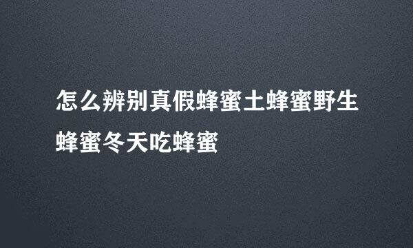 怎么辨别真假蜂蜜土蜂蜜野生蜂蜜冬天吃蜂蜜