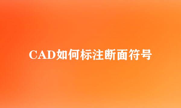 CAD如何标注断面符号