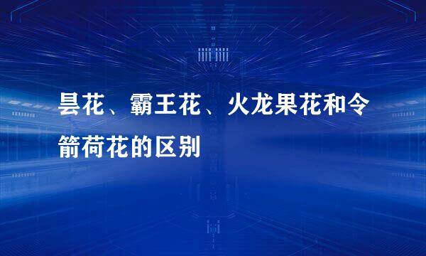 昙花、霸王花、火龙果花和令箭荷花的区别