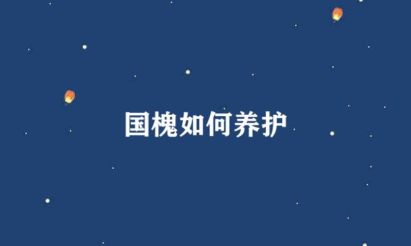 国槐如何养护