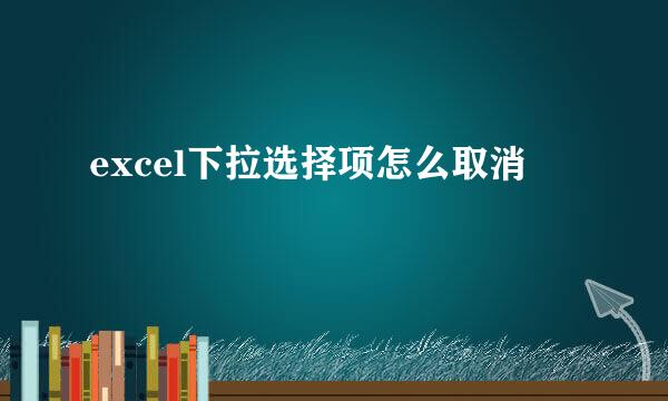 excel下拉选择项怎么取消