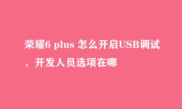 荣耀6 plus 怎么开启USB调试，开发人员选项在哪