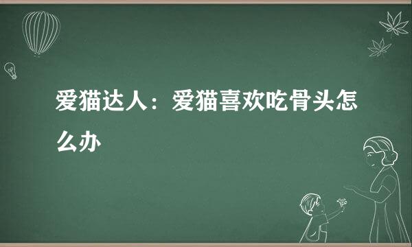 爱猫达人：爱猫喜欢吃骨头怎么办