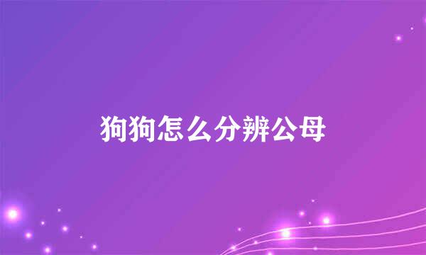 狗狗怎么分辨公母
