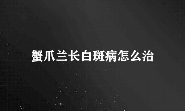 蟹爪兰长白斑病怎么治