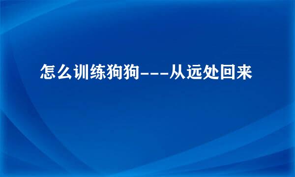 怎么训练狗狗---从远处回来