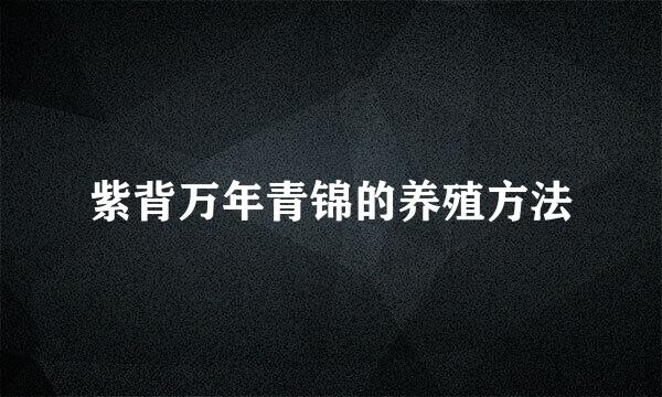 紫背万年青锦的养殖方法