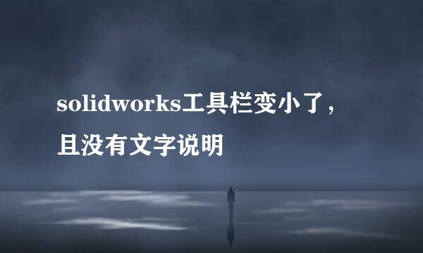 solidworks工具栏变小了，且没有文字说明