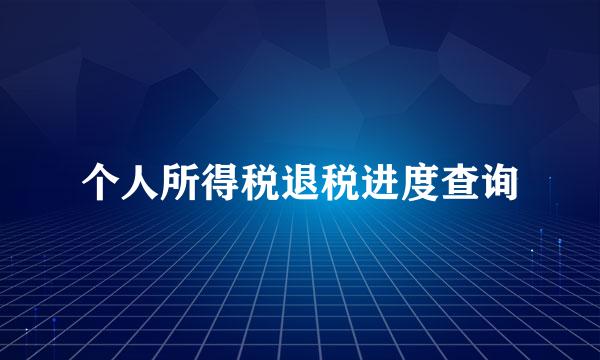 个人所得税退税进度查询
