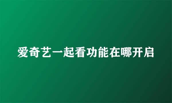 爱奇艺一起看功能在哪开启