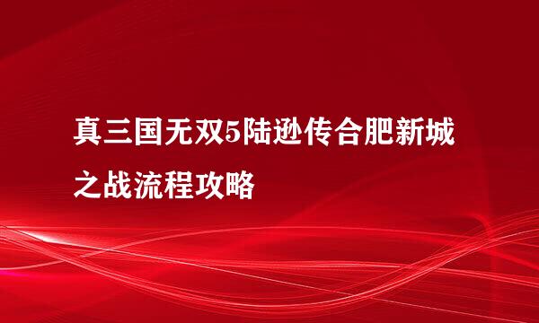 真三国无双5陆逊传合肥新城之战流程攻略