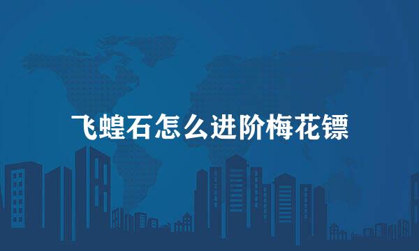 飞蝗石怎么进阶梅花镖