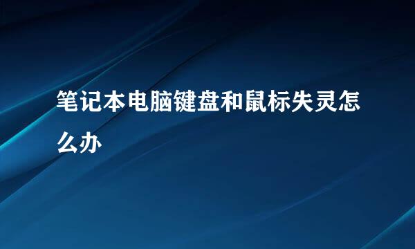 笔记本电脑键盘和鼠标失灵怎么办