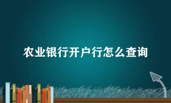 农业银行开户行怎么查询