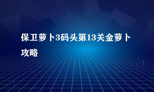 保卫萝卜3码头第13关金萝卜攻略