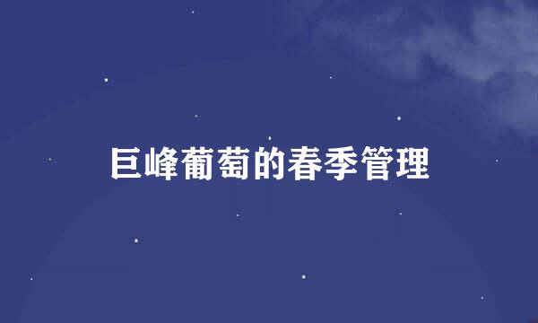 巨峰葡萄的春季管理