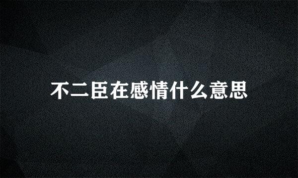 不二臣在感情什么意思