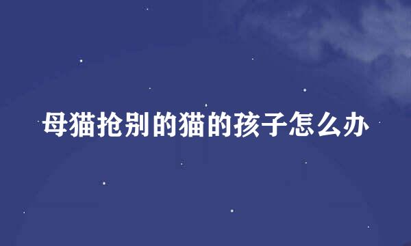 母猫抢别的猫的孩子怎么办