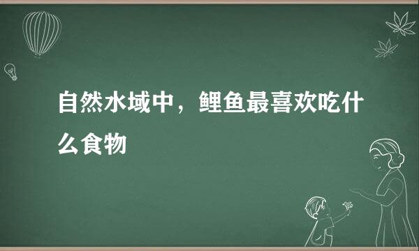 自然水域中，鲤鱼最喜欢吃什么食物