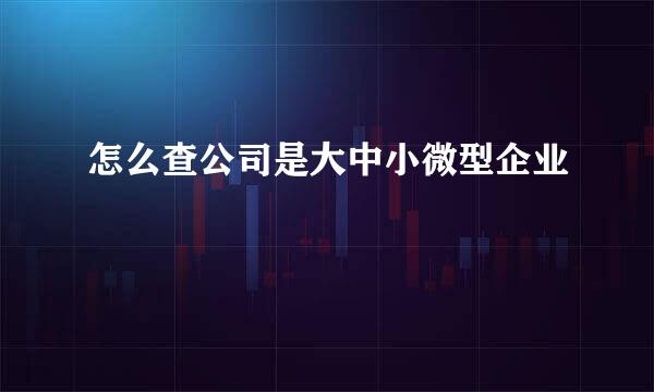 怎么查公司是大中小微型企业