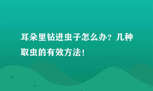 耳朵里钻进虫子怎么办？几种取虫的有效方法！
