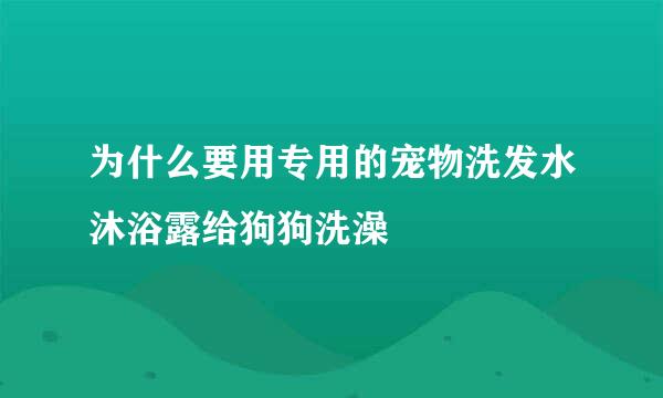 为什么要用专用的宠物洗发水沐浴露给狗狗洗澡