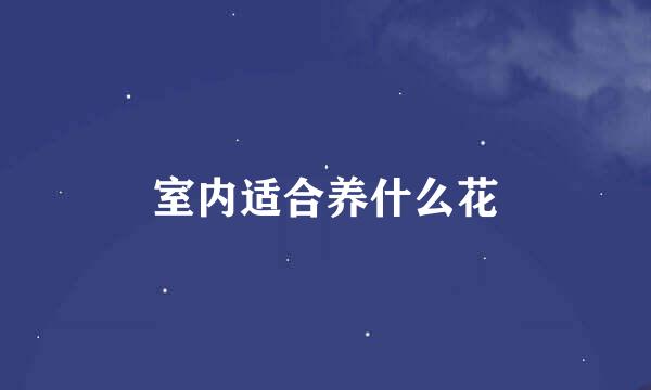 室内适合养什么花
