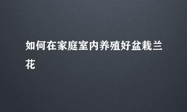 如何在家庭室内养殖好盆栽兰花