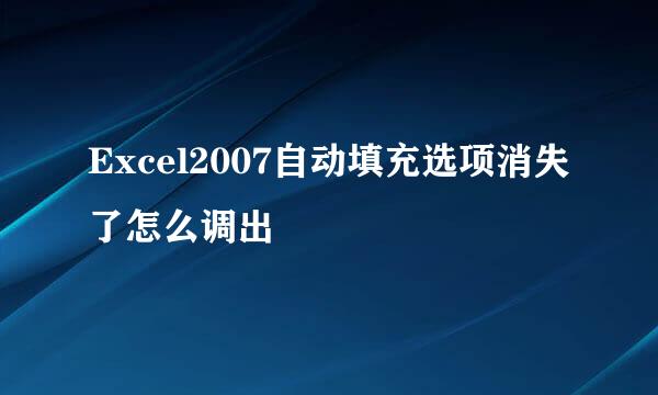 Excel2007自动填充选项消失了怎么调出