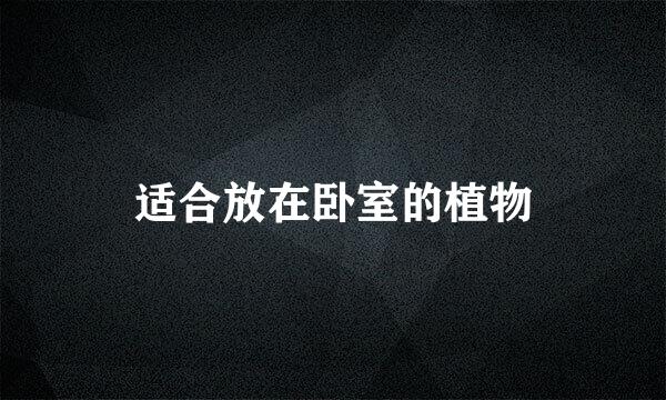 适合放在卧室的植物