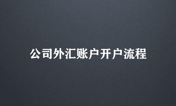 公司外汇账户开户流程