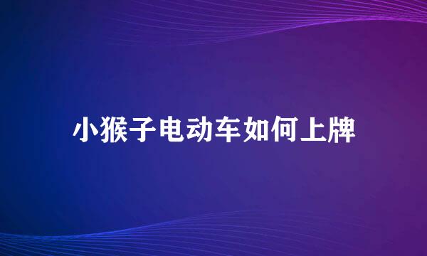 小猴子电动车如何上牌