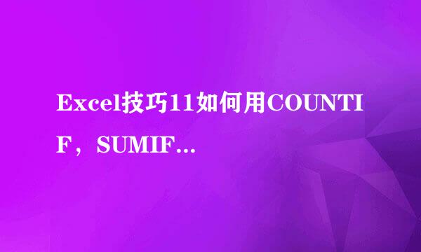 Excel技巧11如何用COUNTIF，SUMIF函数精确查找