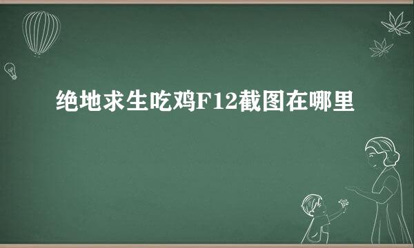 绝地求生吃鸡F12截图在哪里