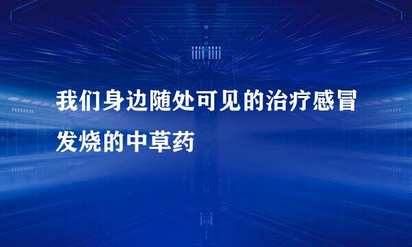 我们身边随处可见的治疗感冒发烧的中草药