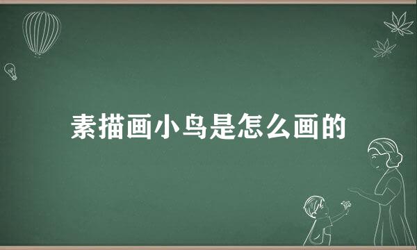 素描画小鸟是怎么画的