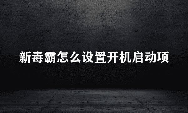 新毒霸怎么设置开机启动项