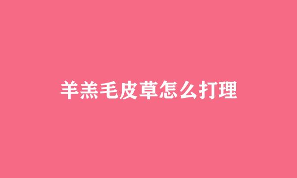 羊羔毛皮草怎么打理