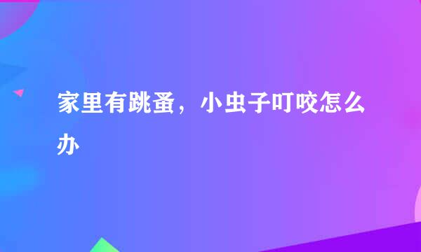 家里有跳蚤，小虫子叮咬怎么办