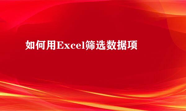 如何用Excel筛选数据项