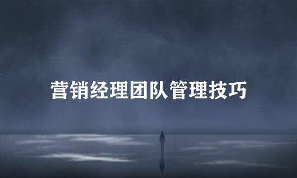 营销经理团队管理技巧