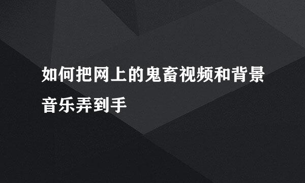 如何把网上的鬼畜视频和背景音乐弄到手