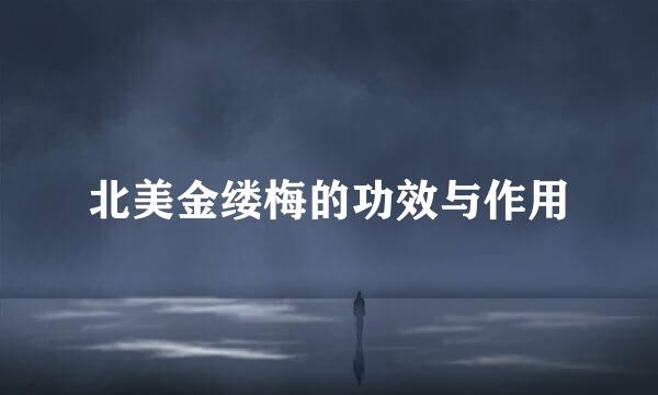 北美金缕梅的功效与作用