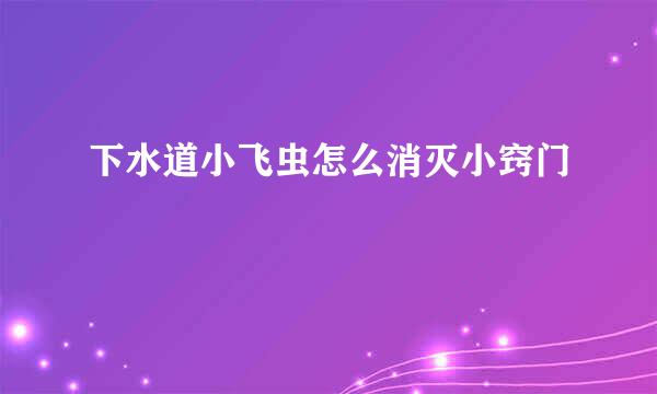 下水道小飞虫怎么消灭小窍门